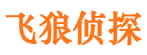 双桥区市婚姻出轨调查